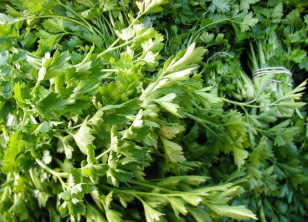 Parsley
