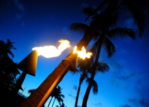 Citronella Tiki Torches