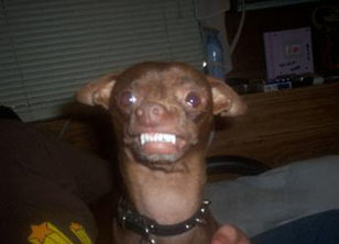 Ugly and mean