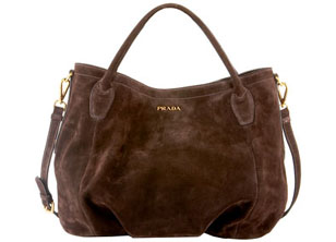 Designer Handbag