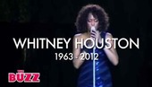 Whitney Houston Update