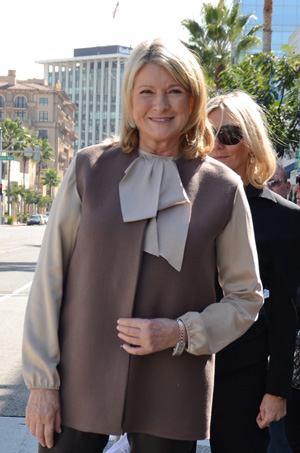 Martha Stewart, Emeril Lagasse and HSN Sued for Selling Allegedly