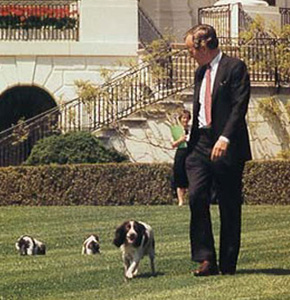 White House pets