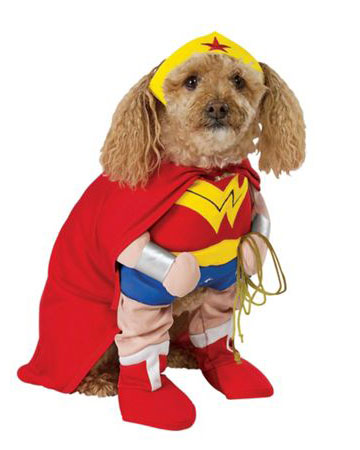 Dog costumes to match the kids