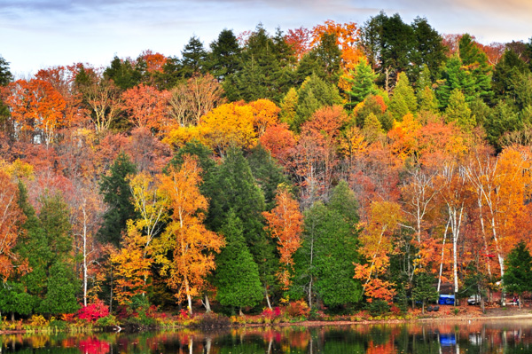 Top 10 places to see the fall foliage across Canada