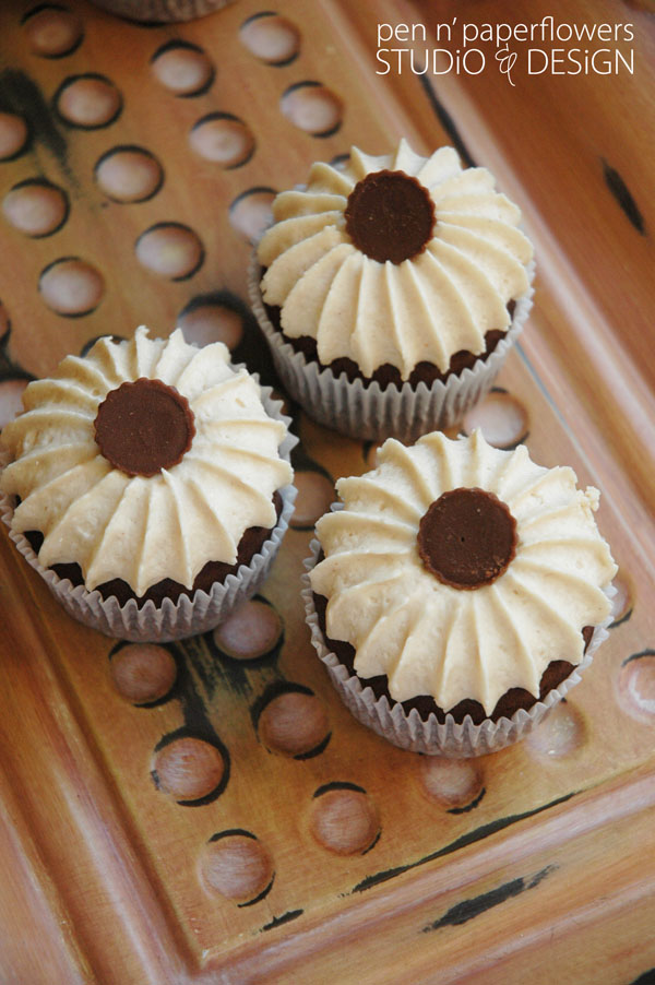 Chocolate peanut butter cupcakes