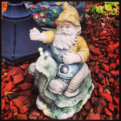 20 Reasons you need a garden gnome