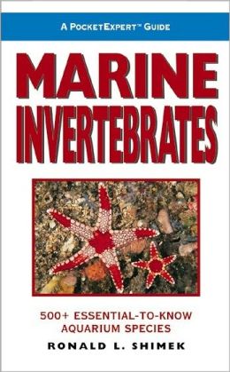 PocketExpert Guide to Marine Invertebrates | Sheknows.com