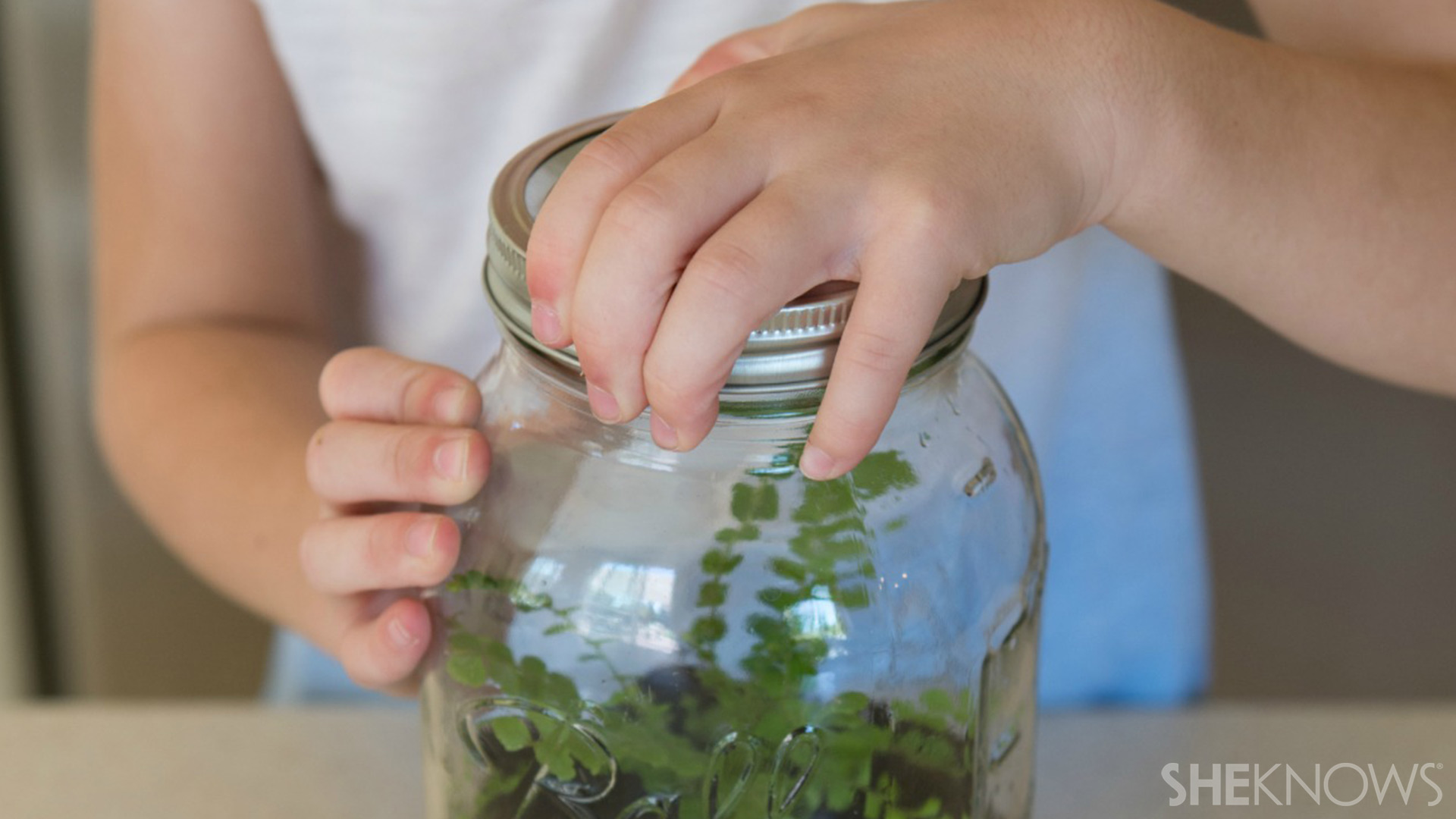 Terrarium | Sheknows.com - step 5