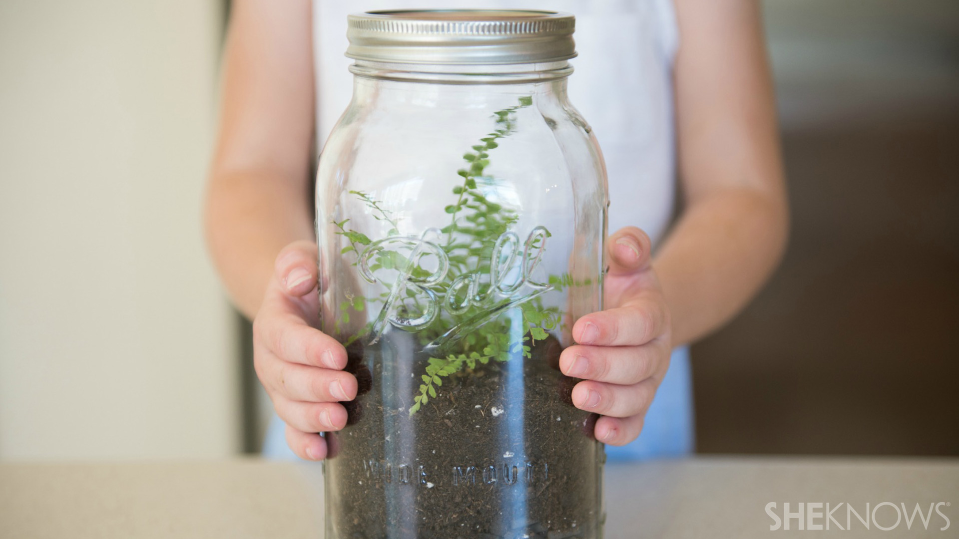 Terrarium | Sheknows.com - step 6