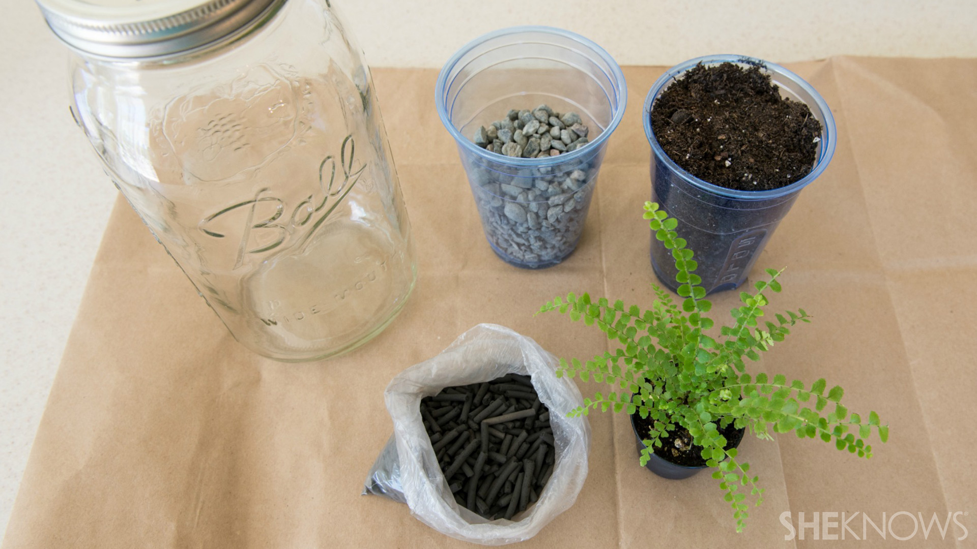 Terrarium | Sheknows.com - supplies