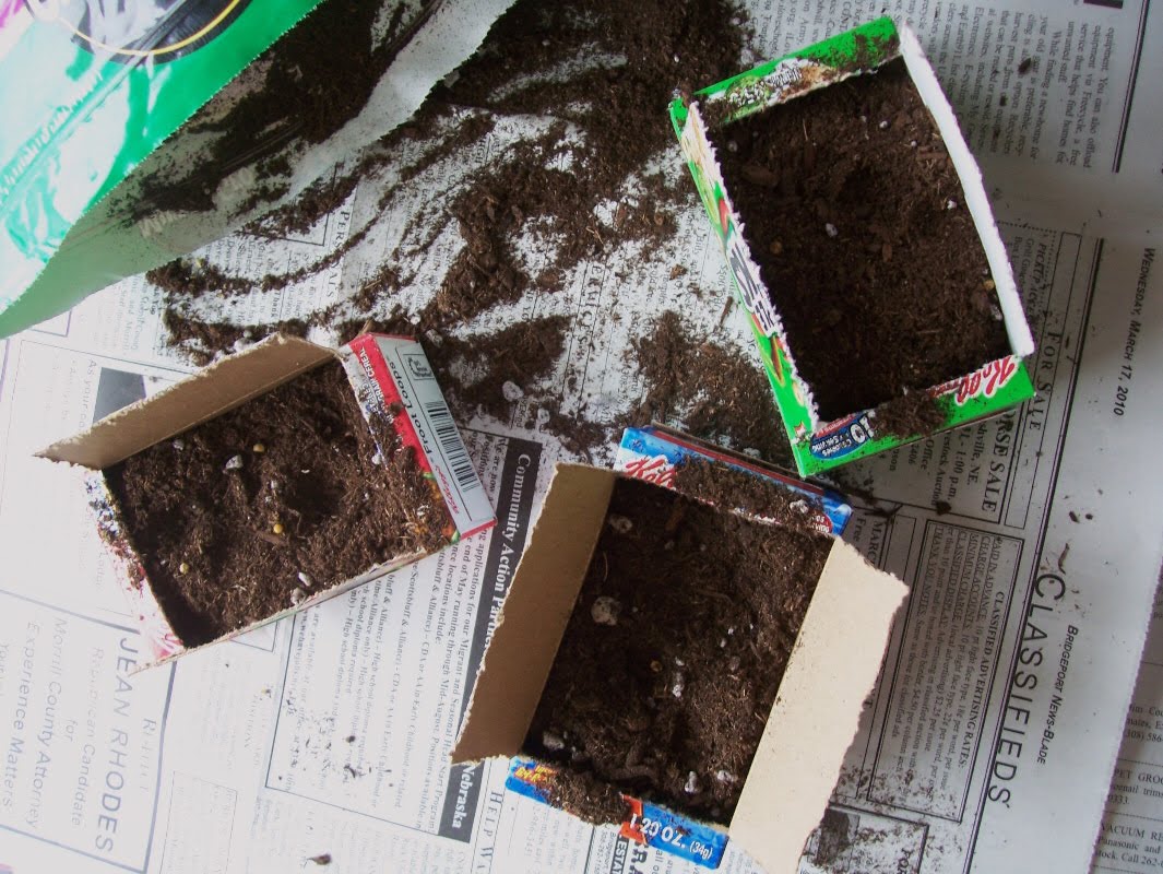 Mini cereal box seed starters | Sheknows.com