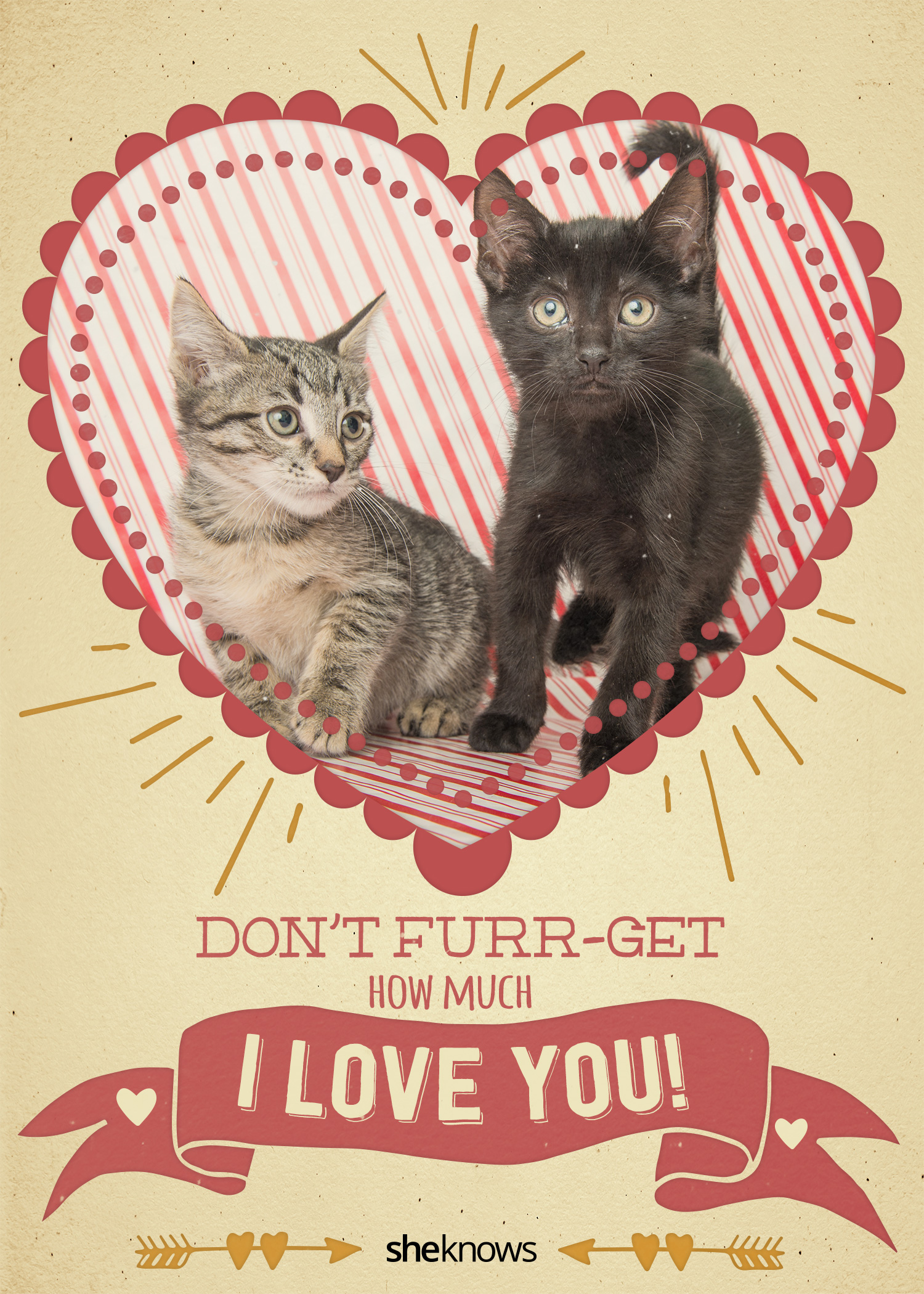 12 Kitty-cat Valentine's Day cards that will make you aww