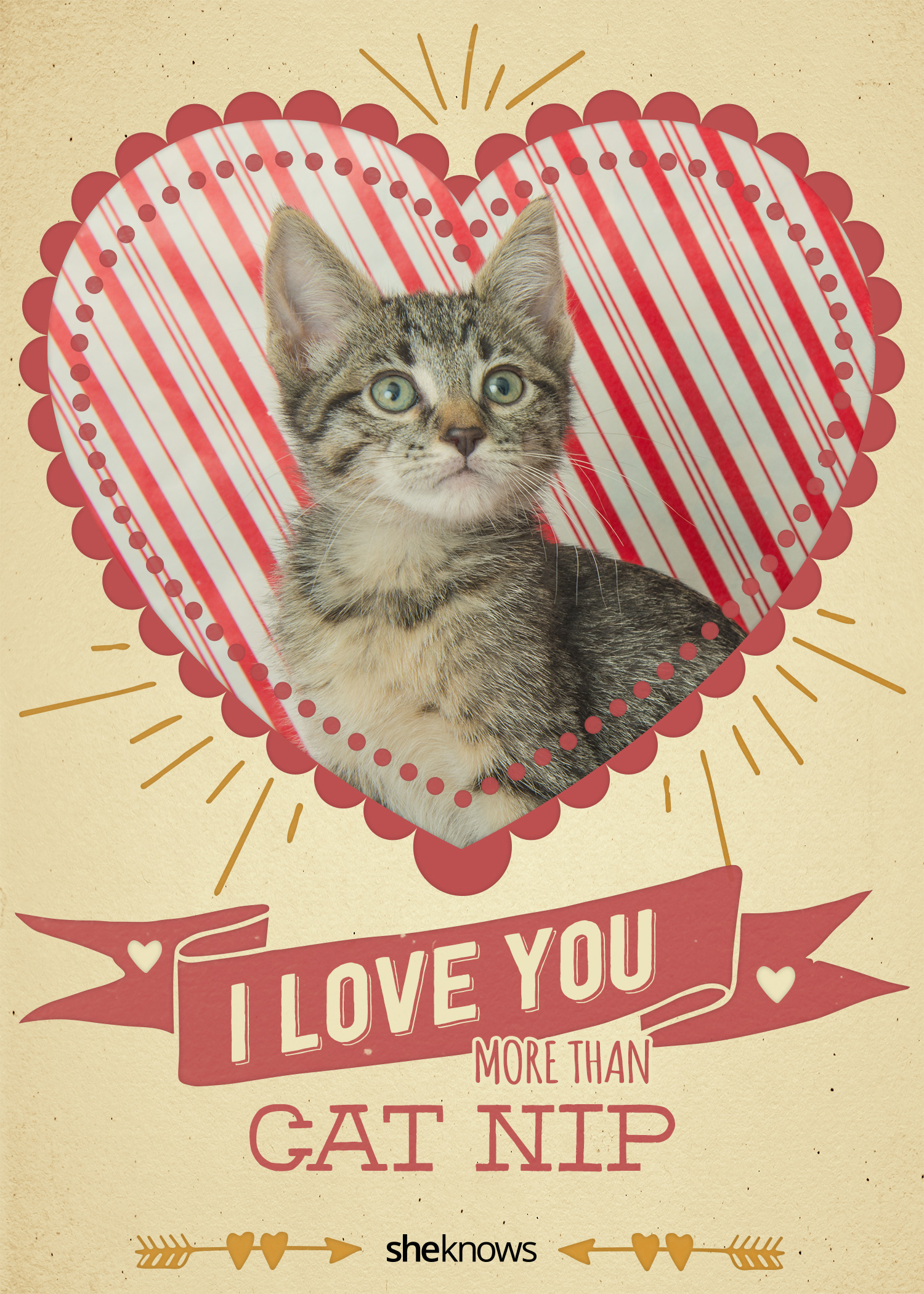 12 Kitty-cat Valentine's Day cards that will make you aww