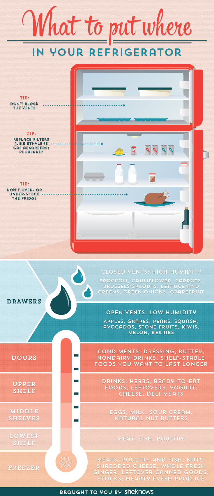 How to organize your fridge to keep food fresh longer (INFOGRAPHIC)