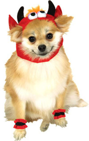 Football Fever Pet Costume - Kooldawgtees