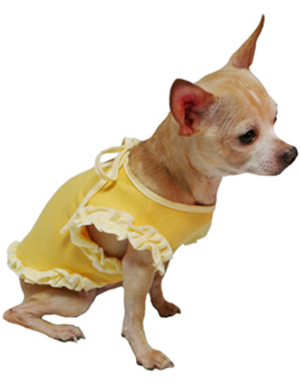 Football Fever Pet Costume - Kooldawgtees