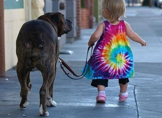 https://cdn.sheknows.com/articles/baby-walking-with-dog.jpg