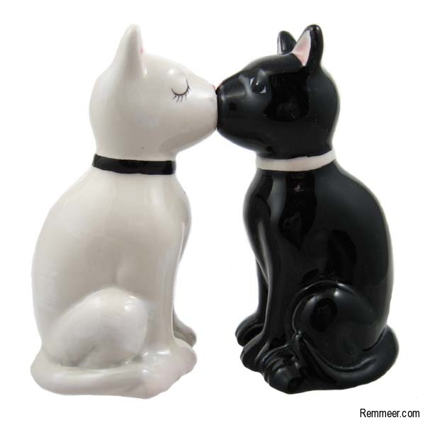 gift the cats 4 make & Pepper Cats &  Gift Shakers Black White Salt  Ideas Kissing