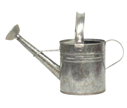 Steel Watering Can, Silver