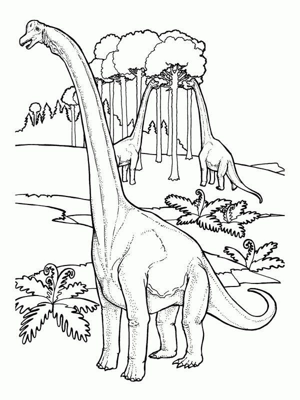 Dinosaur: Brachiosaurus - Free Printable Coloring Pages