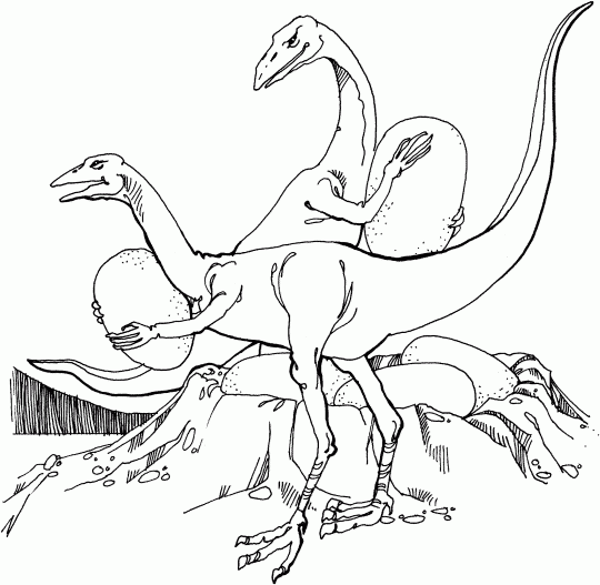Dinosaur: Oviraptor - Free Printable Coloring Pages