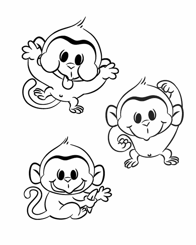 silly monkey