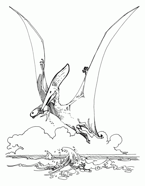 Dinosaur: Pteranodon - Free Printable Coloring Pages