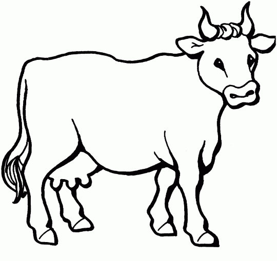 Cow - Free Printable Coloring Pages
