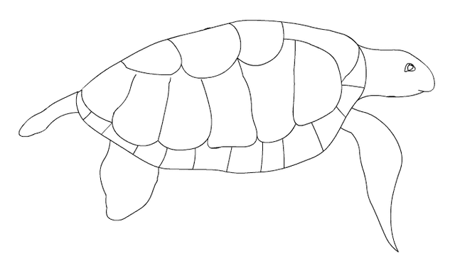 Green Sea Turtle coloring page - Free Printable Coloring Pages