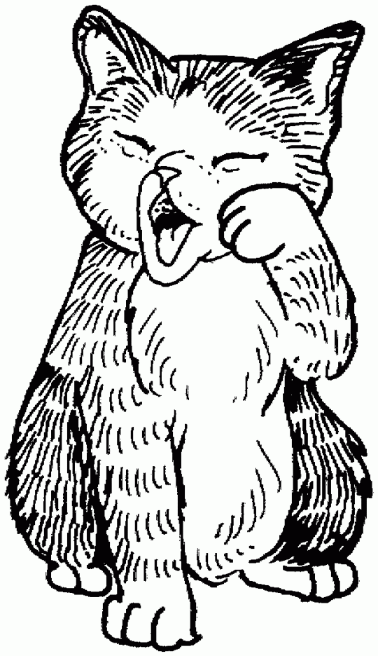 Cute kitten   Free Printable Coloring Pages