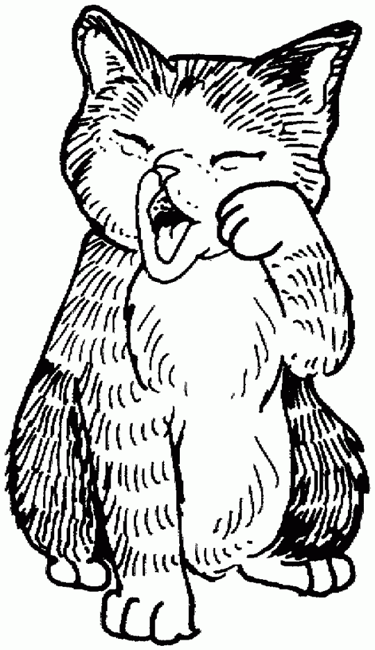  Cute  kitten  Free Printable Coloring  Pages 