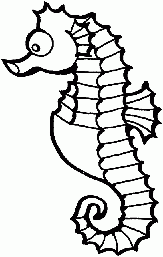 seahorse-free-printable-coloring-pages