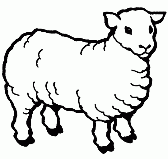 Sheep Free Printable Coloring Pages