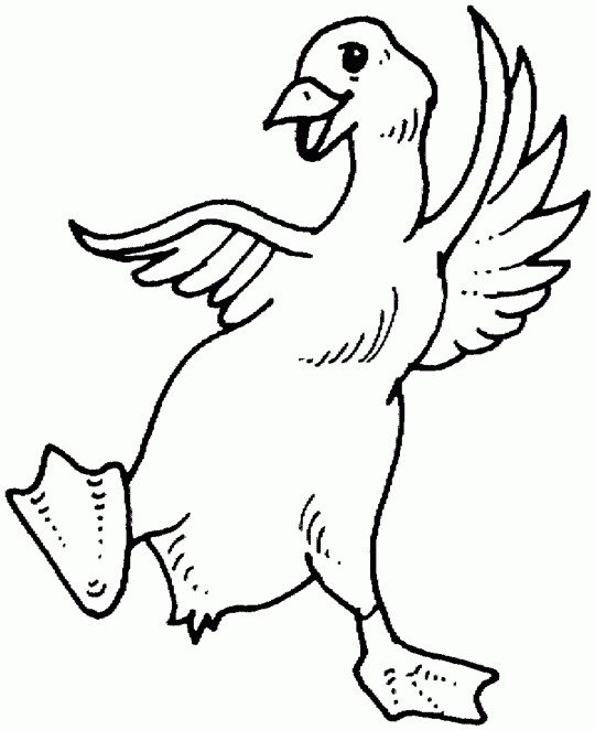 Download Silly goose - Springtime - Free Printable Coloring Pages