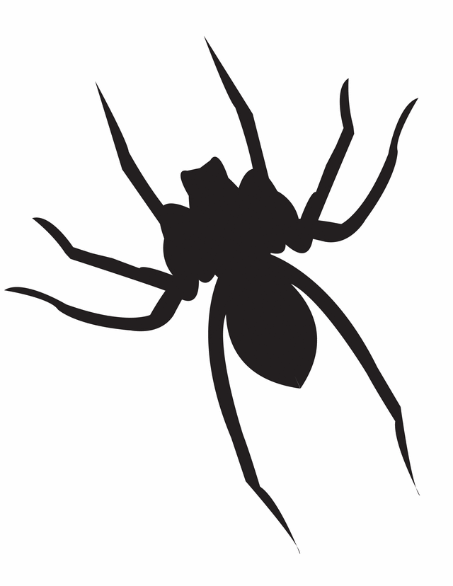 Spider - Free Printable Coloring Pages