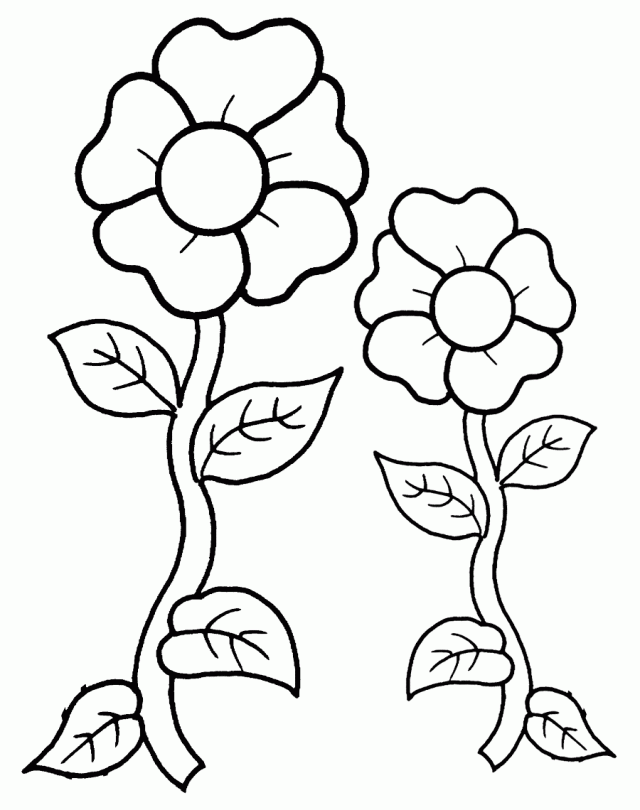 two flowers free printable coloring pages