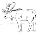 Canadian coloring pages