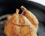Chicken Tarragon with Noodles